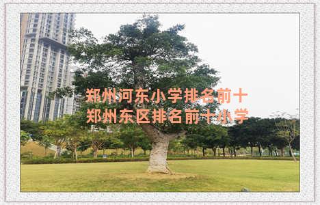郑州河东小学排名前十 郑州东区排名前十小学